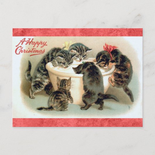 Niedlich Vintage Christmas Kitten Cat Postkarte (Vorderseite)