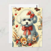 Niedlich Vintager Bichon Frisé Illustration Postkarte (Vorne/Hinten)
