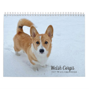 Niedlich Walisische Corgi Dog Fotografy 2026 Wall Kalender