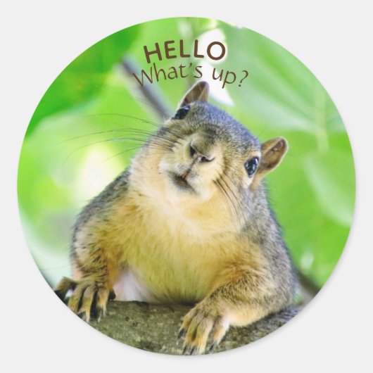 Niedlich Was sind die Umschlag Aufkleber? Runder Aufkleber (Vorderseite)