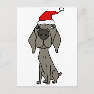 Niedlich Weimaraner Hund in der Weihnachtsmannmütz Feiertagspostkarte