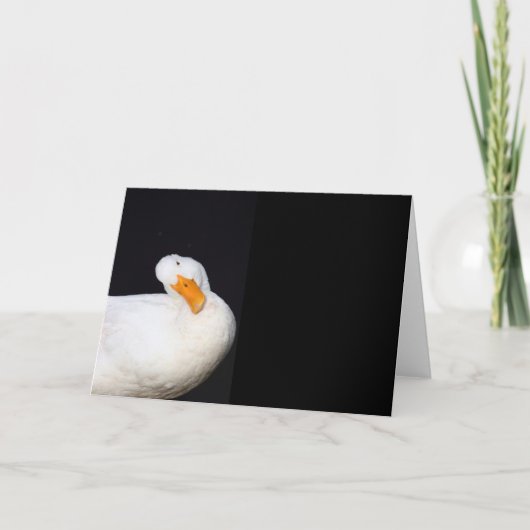 Niedlich Weiß, Ente, leere Notizkarte Karte (Vorderseite)