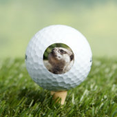 NIEDLICH WENIG MEERKAT GOLFBALL (Insitu T-Shirt)
