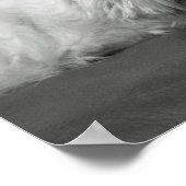 Niedlich West Highland Terrier Dog Poster (Ecke)