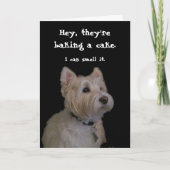 Niedlich Westie Birthday Card Karte (Vorderseite)