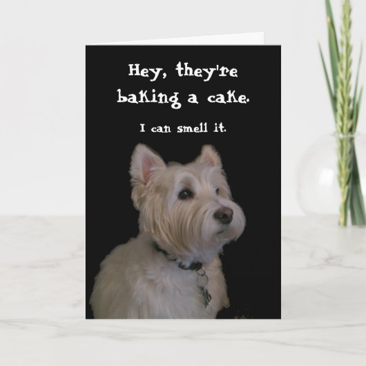 Niedlich Westie Birthday Card Karte (Vorderseite)