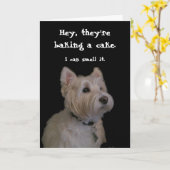 Niedlich Westie Birthday Card Karte (Gelbe Blume)