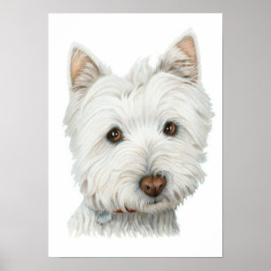 Niedlich Westie Dog Print Poster