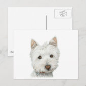 Niedlich Westie Hund Postkarte (Vorne/Hinten)