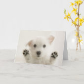 Niedlich Westie Puppy Karte (Gelbe Blume)