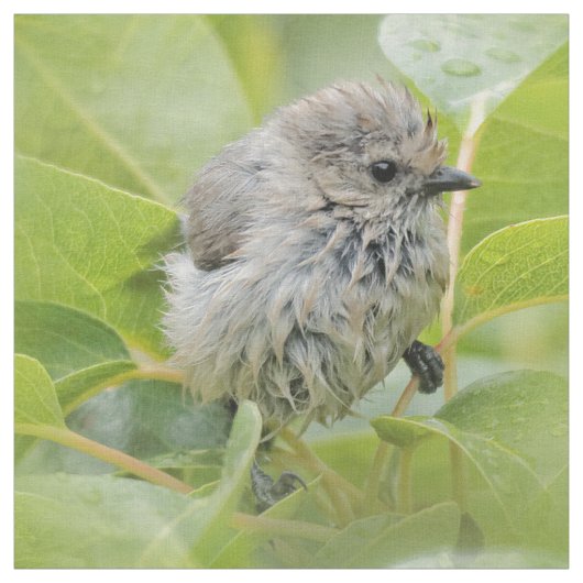 Niedlich Wet Wee Bushtit auf dem Laurel Stoff (Muster)