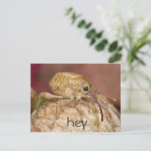 Niedlich Wevil Postkarte (Stehend Vorderseite)