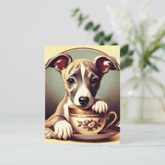 Niedlich Whippet Puppy Postkarte (Stehend Vorderseite)