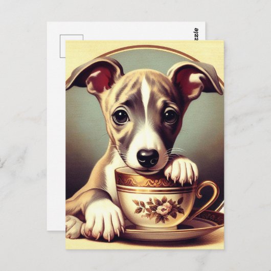 Niedlich Whippet Puppy Postkarte (Vorne/Hinten)