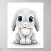 Niedlich White Baby Bunny Rabbit Poster (Vorne)