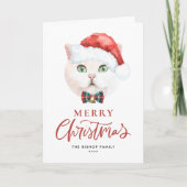 Niedlich White British Shorthair Cat Weihnachten (Vorderseite)