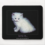 Niedlich White Kitten Art Mousepad (Vorne)