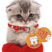 Niedlich White Kitten Cartoon Kawaii Orange Pink