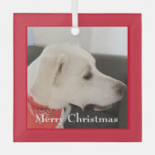 Niedlich White Labrador Mix Dog Weihnachten Roter Ornament Aus Glas (Vorderseite)