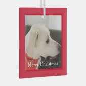 Niedlich White Labrador Mix Dog Weihnachten Roter Ornament Aus Glas (Vorderseite Rechts)