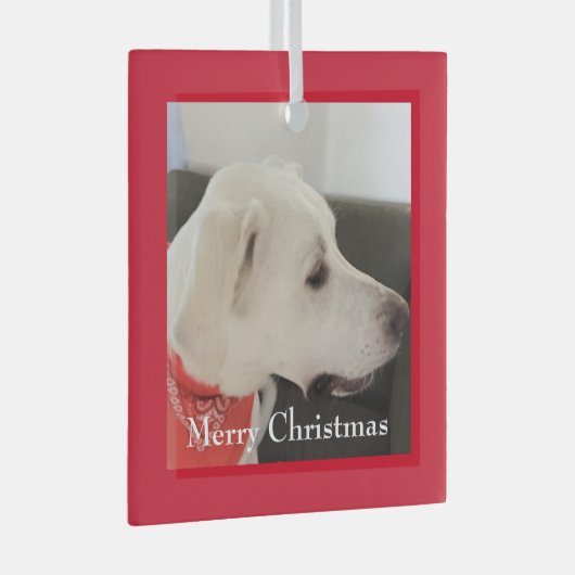Niedlich White Labrador Mix Dog Weihnachten Roter Ornament Aus Glas (Vorderseite Rechts)