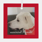 Niedlich White Labrador Mix Dog Weihnachten Roter Ornament Aus Glas (Rückseite)
