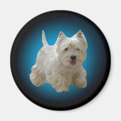 Niedlich White Maltese Dog Magnet (Vorne)