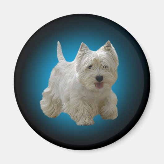 Niedlich White Maltese Dog Magnet (Vorne)
