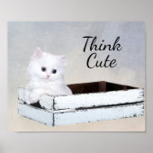 Niedlich White Persian Kitten Poster (Vorne)