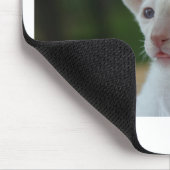 Niedlich White Siamese Kitten Mousepad (Ecke)