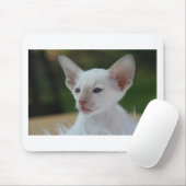Niedlich White Siamese Kitten Mousepad (Mit Mouse)