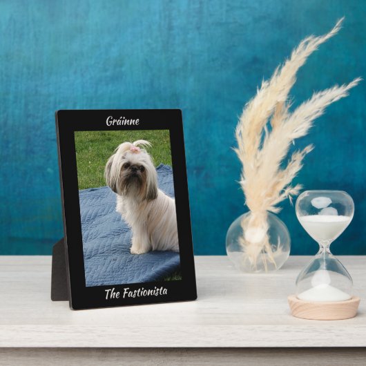 Niedlich White Yorkshire Terrier Fotoplatte (Seite)