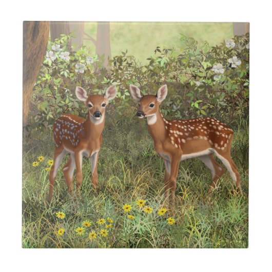 Niedlich Whitetail Deer Twin Fawns Fliese (Vorderseite)