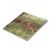 Niedlich Whitetail Deer Twin Fawns Fliese (Seite)