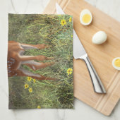 Niedlich Whitetail Deer Twin Fawns Handtuch (Viertel Falte)