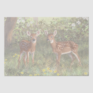 Niedlich Whitetail Deer Twin Fawns Seidenpapier