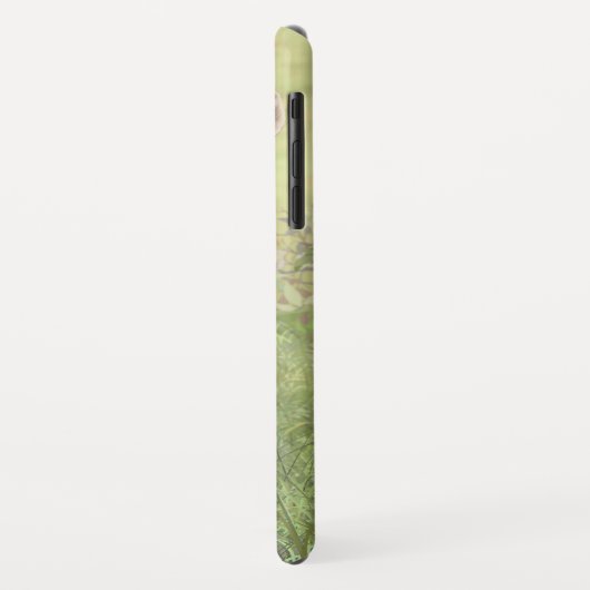 Niedlich Whitetail Fawn Case-Mate iPhone Hülle (Hinten/Links)