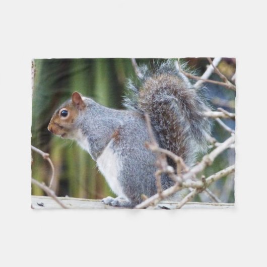 Niedlich Wild Gray Squirrel (UK) Fleecedecke (Vorderseite (Horizontal))