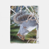 Niedlich Wild Gray Squirrel (UK) Fleecedecke (Vorderseite)
