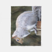 Niedlich Wild Gray Squirrel (UK) Fleecedecke (Vorderseite)