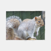 Niedlich Wild Gray Squirrel (UK) Fleecedecke (Vorderseite (Horizontal))