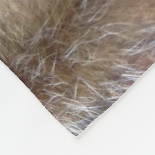 Niedlich Wild Gray Squirrel (UK) Fleecedecke (Ecke)