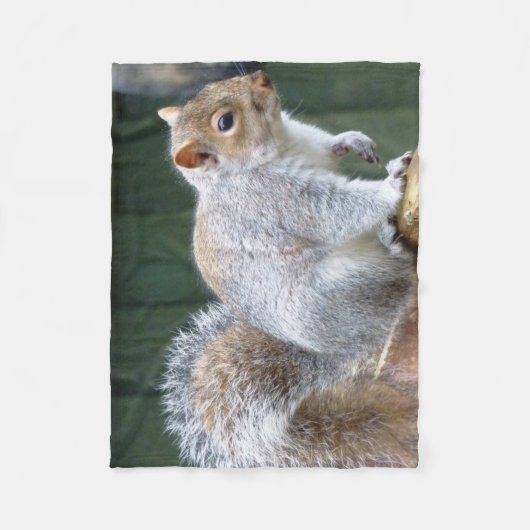 Niedlich Wild Gray Squirrel (UK) Fleecedecke (Vorderseite)