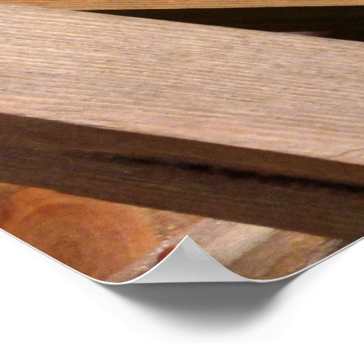 Niedlich Wild Gray Squirrel (UK) Poster (Ecke)