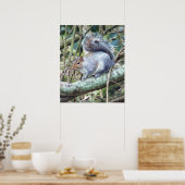 Niedlich Wild Gray Squirrel (UK) Poster (Küche)