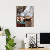 Niedlich Wild Gray Squirrel (UK) Poster (Heimbüro)