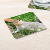 Niedlich Wild Gray Squirrel (UK) Rechteckiger Pappuntersetzer (angewinkelt)