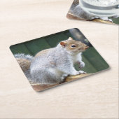 Niedlich Wild Gray Squirrel (UK) Rechteckiger Pappuntersetzer (angewinkelt)