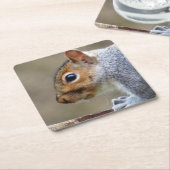 Niedlich Wild Gray Squirrel (UK) Rechteckiger Pappuntersetzer (angewinkelt)