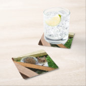 Niedlich Wild Gray Squirrel (UK) Rechteckiger Pappuntersetzer (Vor Ort)